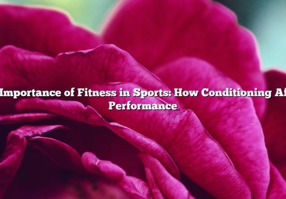 ﻿The Importance of Fitness in Sports: How Conditioning Affects Performance