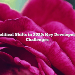 Global Political Shifts in 2025: Key Developments and Challenges