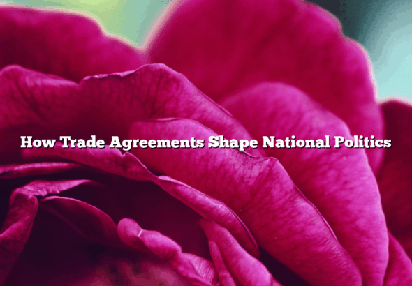 How Trade Agreements Shape National Politics