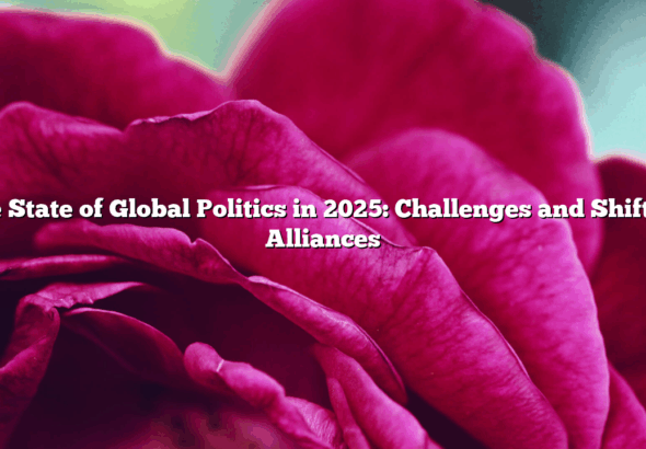 The State of Global Politics in 2025: Challenges and Shifting Alliances
