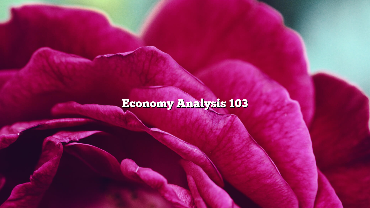 Economy Analysis 103